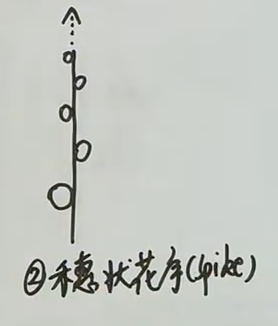 CleanShot 2026-05-01 at 00.03.18@2x.png|100