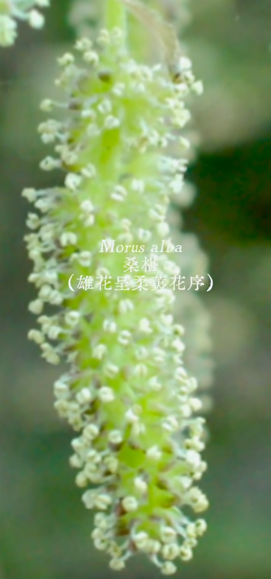CleanShot 2026-05-01 at 00.12.41@2x.png|200