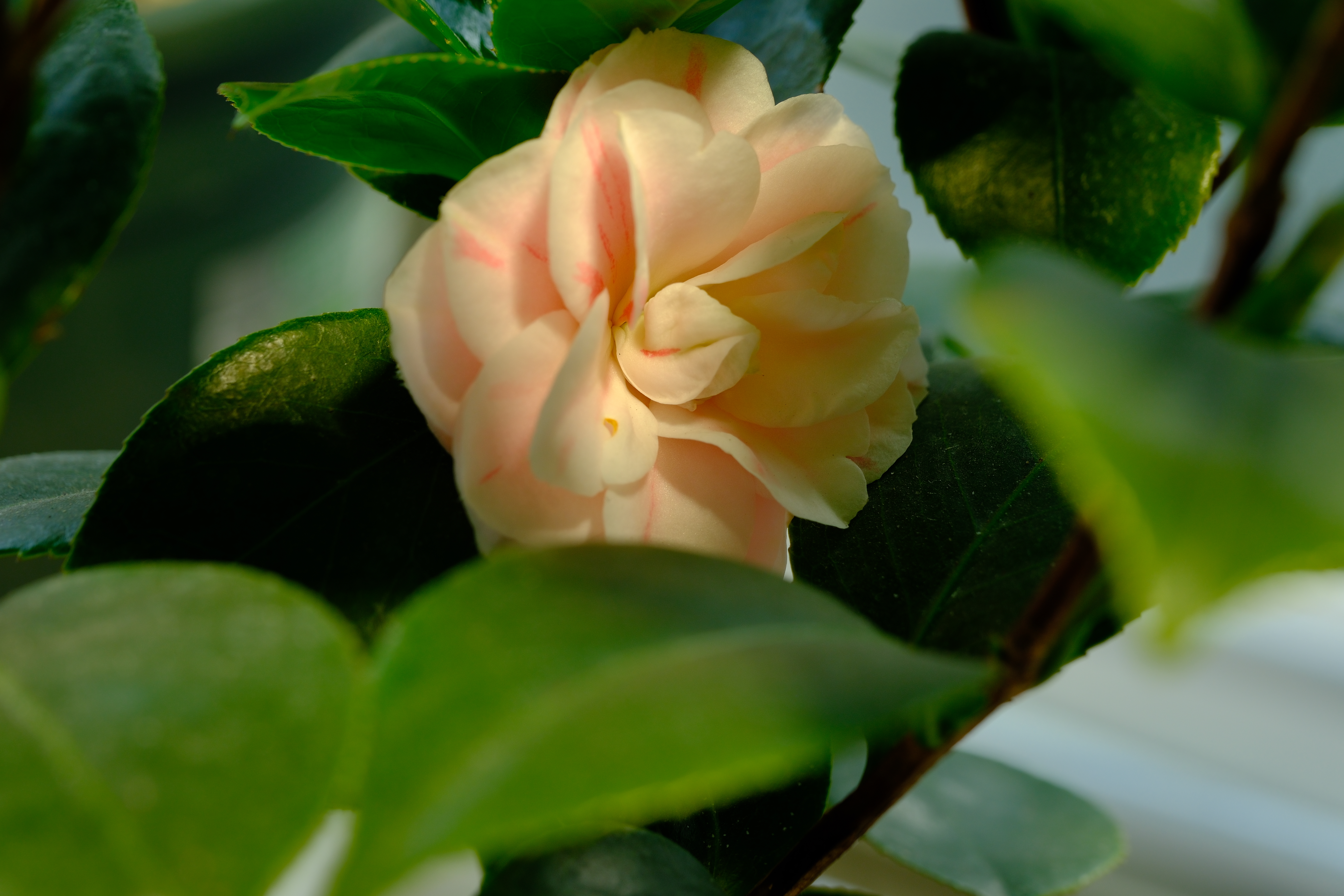 DSCF5299.JPG