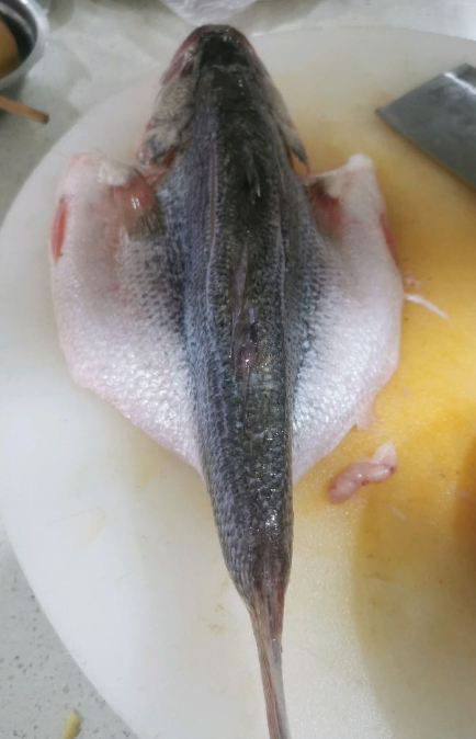 CleanShot 2022-04-19 at 20.13.36@2x