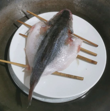 CleanShot 2022-04-19 at 20.17.50@2x