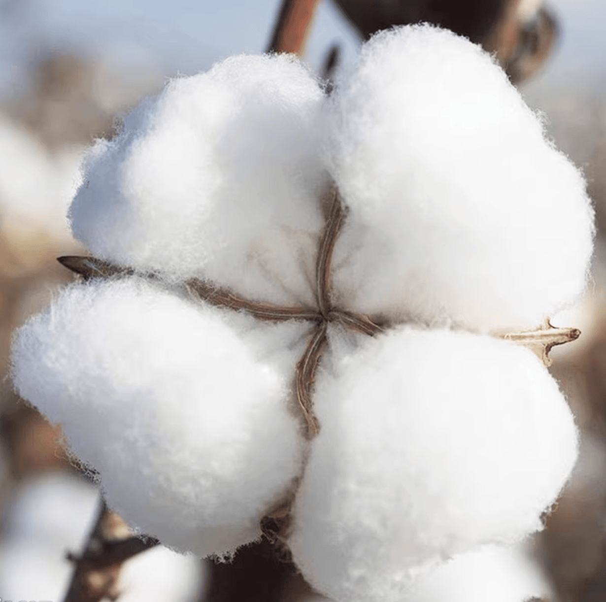 CleanShot 2023-04-02 at 22.30.20@2x