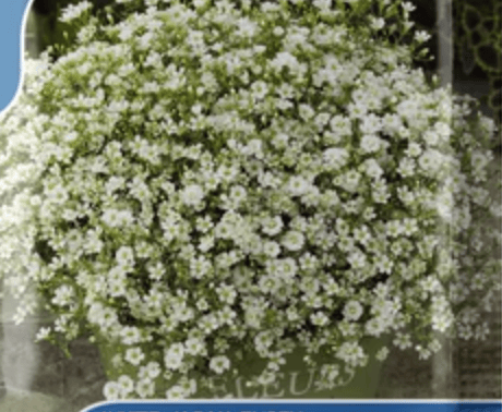 CleanShot 2023-04-02 at 22.34.01@2x